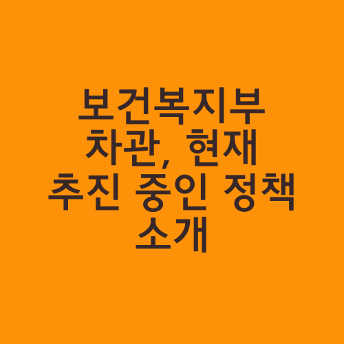 보건복지부 차관, 현재 추진 중인 정책 소개