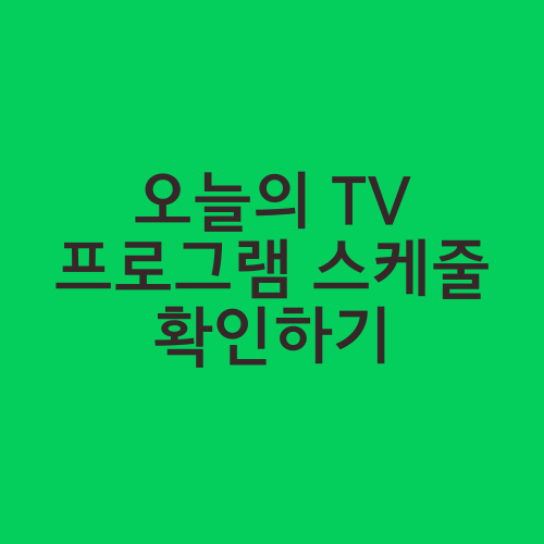 오늘의 TV 프로그램 스케줄 확인하기