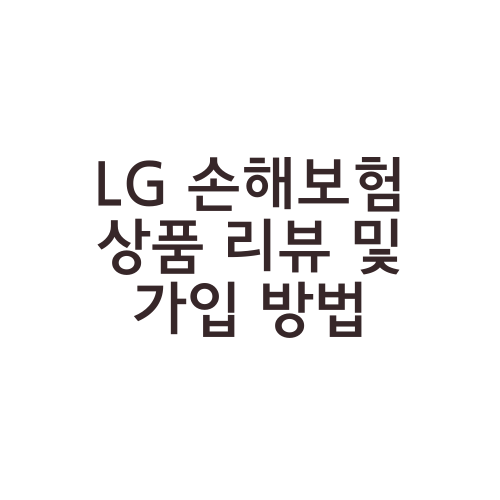 LG 손해보험 상품 리뷰 및 가입 방법