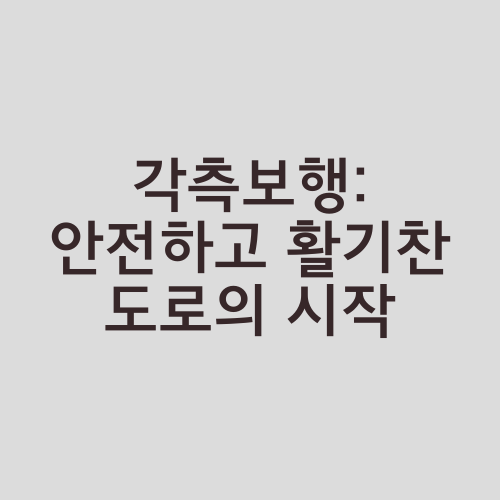 각측보행: 안전하고 활기찬 도로의 시작