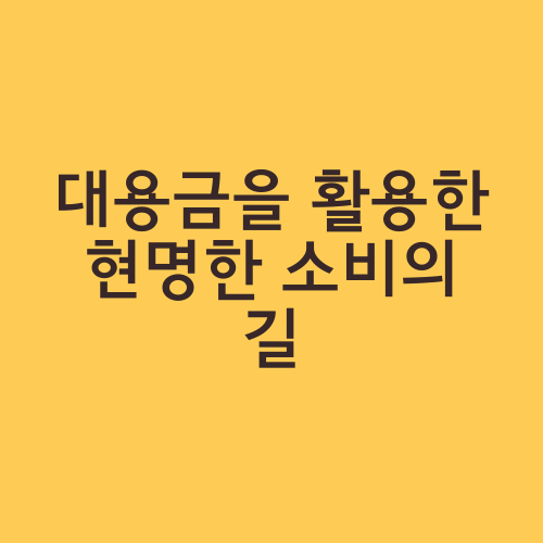 대용금을 활용한 현명한 소비의 길